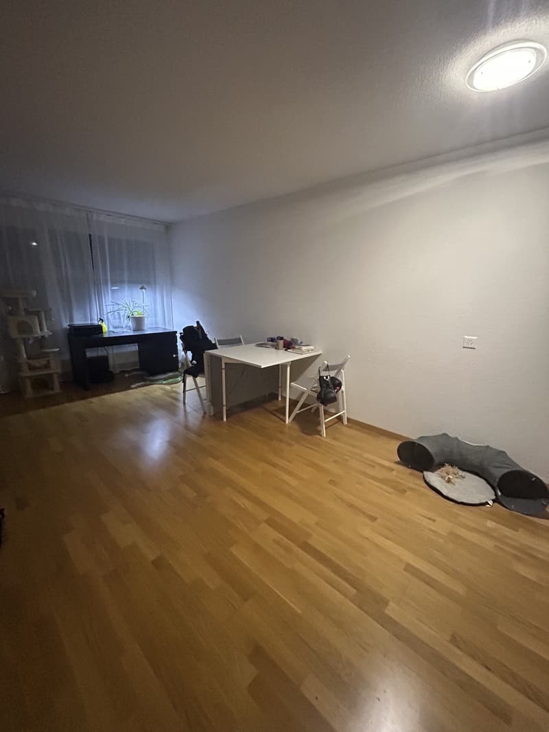 Nachmieter/in gesucht 2-Zimmer-Wohnung mit 2 Balkonen in Bern (1)