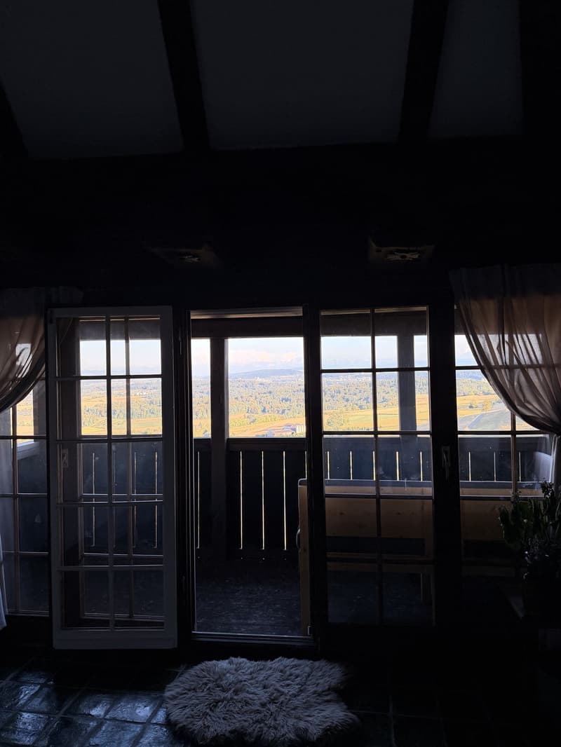 Lease Takeover  Spacious 240 m² Apartment in Regensberg | Available 15 September (13)