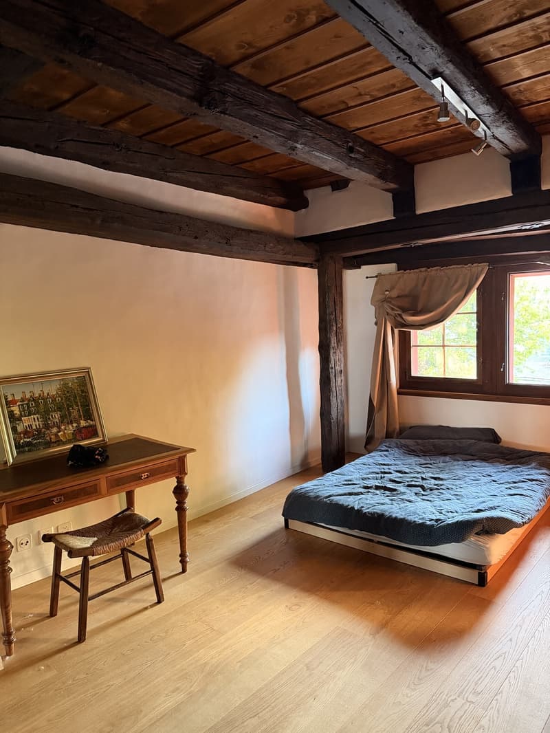 Lease Takeover  Spacious 240 m² Apartment in Regensberg | Available 15 September (11)