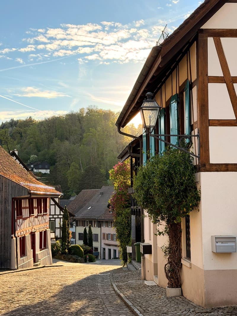 Lease Takeover  Spacious 240 m² Apartment in Regensberg | Available 15 September (4)
