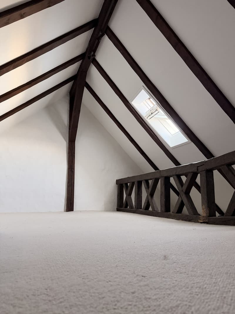 Lease Takeover  Spacious 240 m² Apartment in Regensberg | Available 15 September (6)