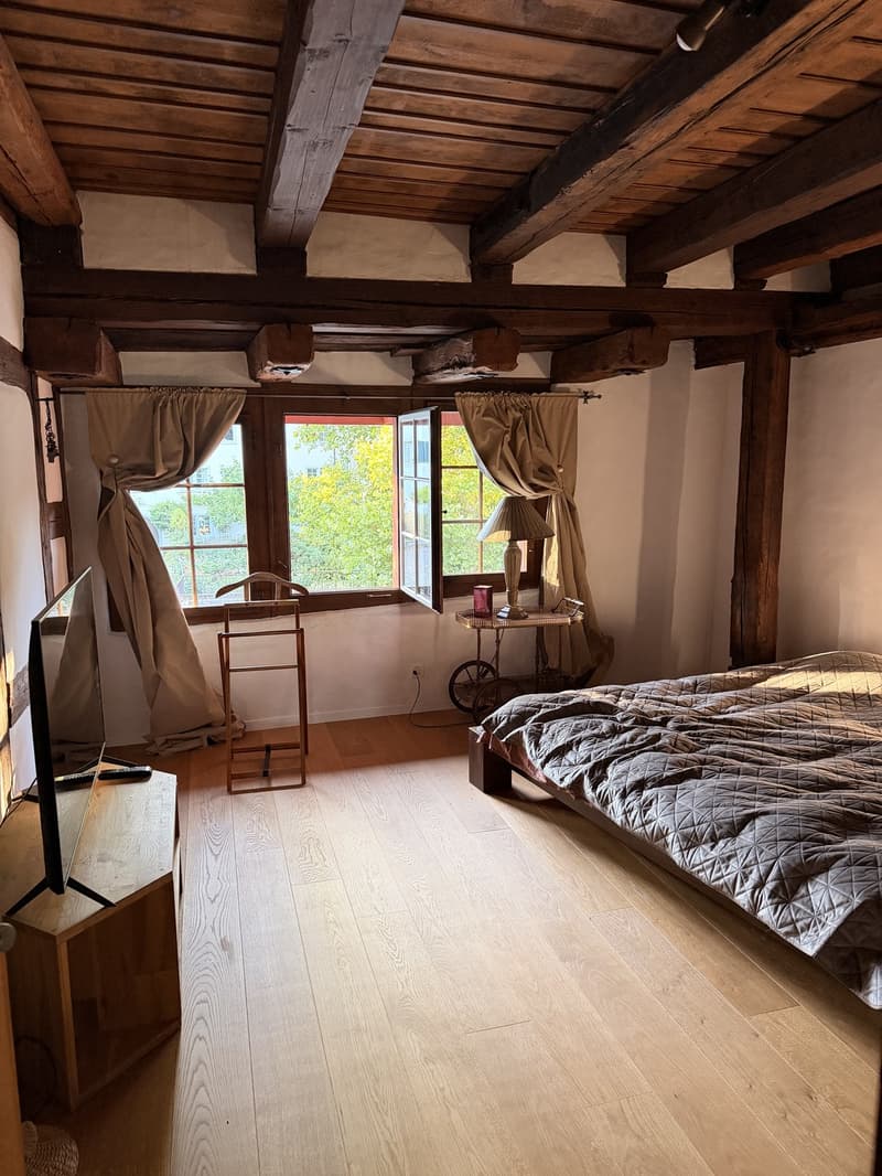 Lease Takeover  Spacious 240 m² Apartment in Regensberg | Available 15 September (9)