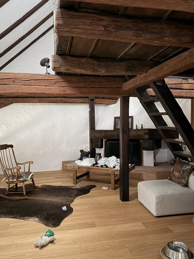 Lease Takeover  Spacious 240 m² Apartment in Regensberg | Available 15 September (5)