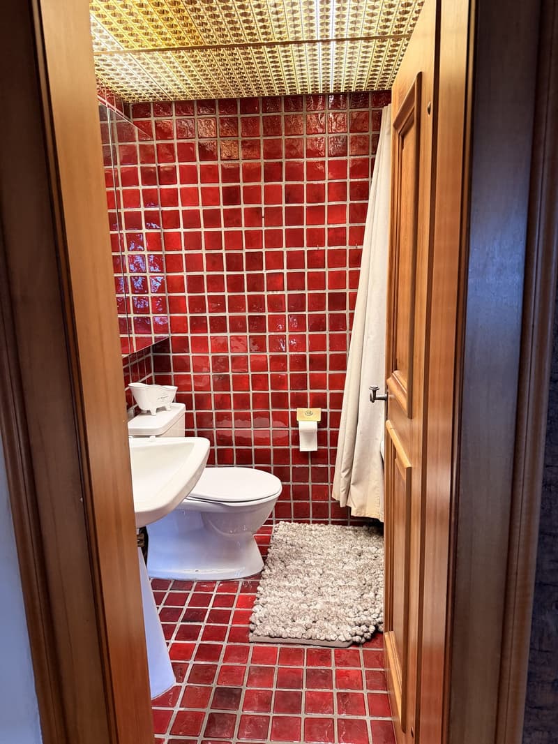 Lease Takeover  Spacious 240 m² Apartment in Regensberg | Available 15 September (12)