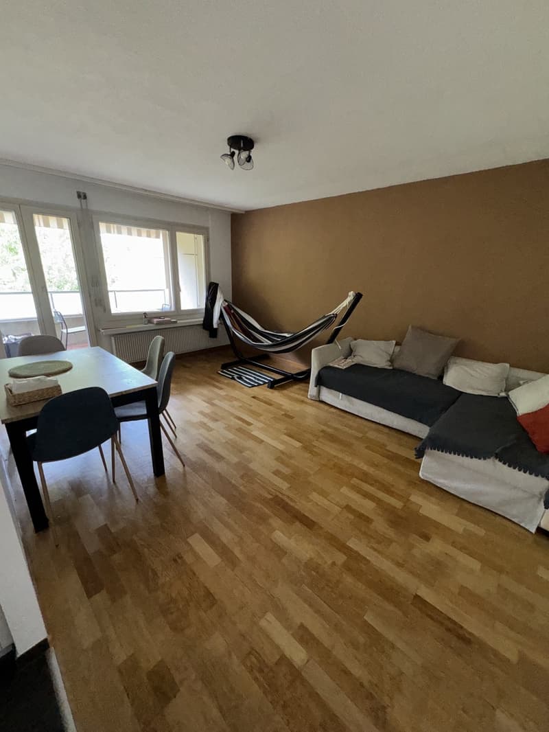 Cozy apartment room with nice terrace (2)