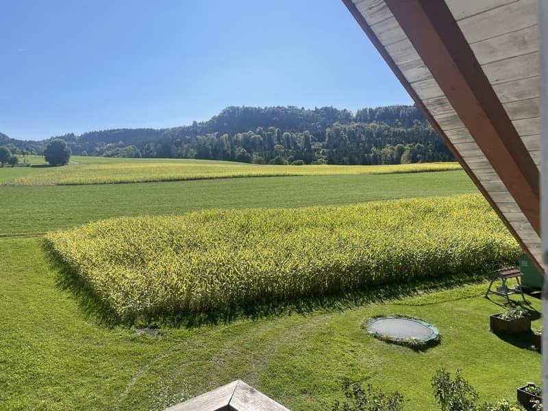 Wohnung mit Weitblick (7)