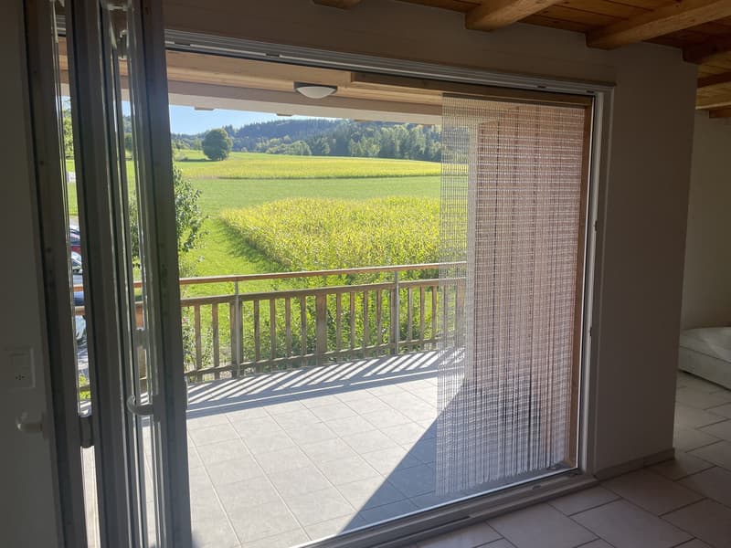Wohnung mit Weitblick (5)