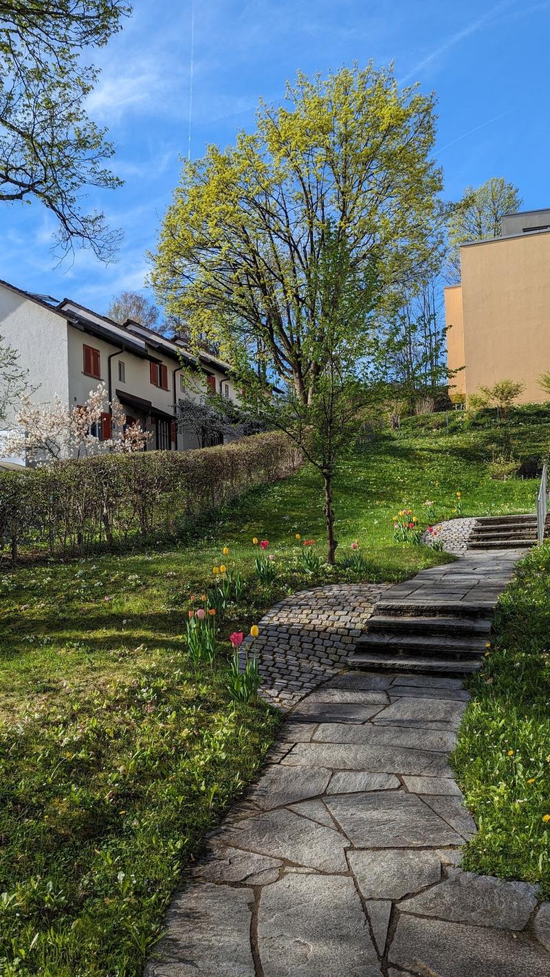 4.5-Zimmer-Wohnung im Grünen mit Top-Anbindung (9)