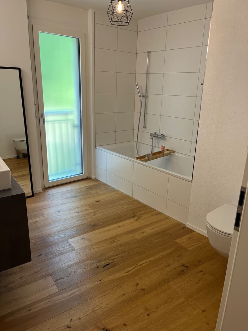 helle grosszügige Wohnung im Schöngrund (3)