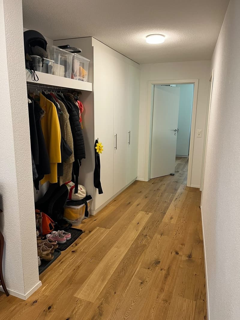 helle grosszügige Wohnung im Schöngrund (4)