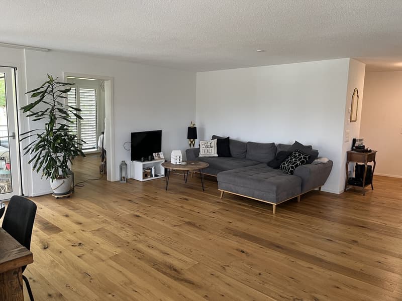 helle grosszügige Wohnung im Schöngrund (5)