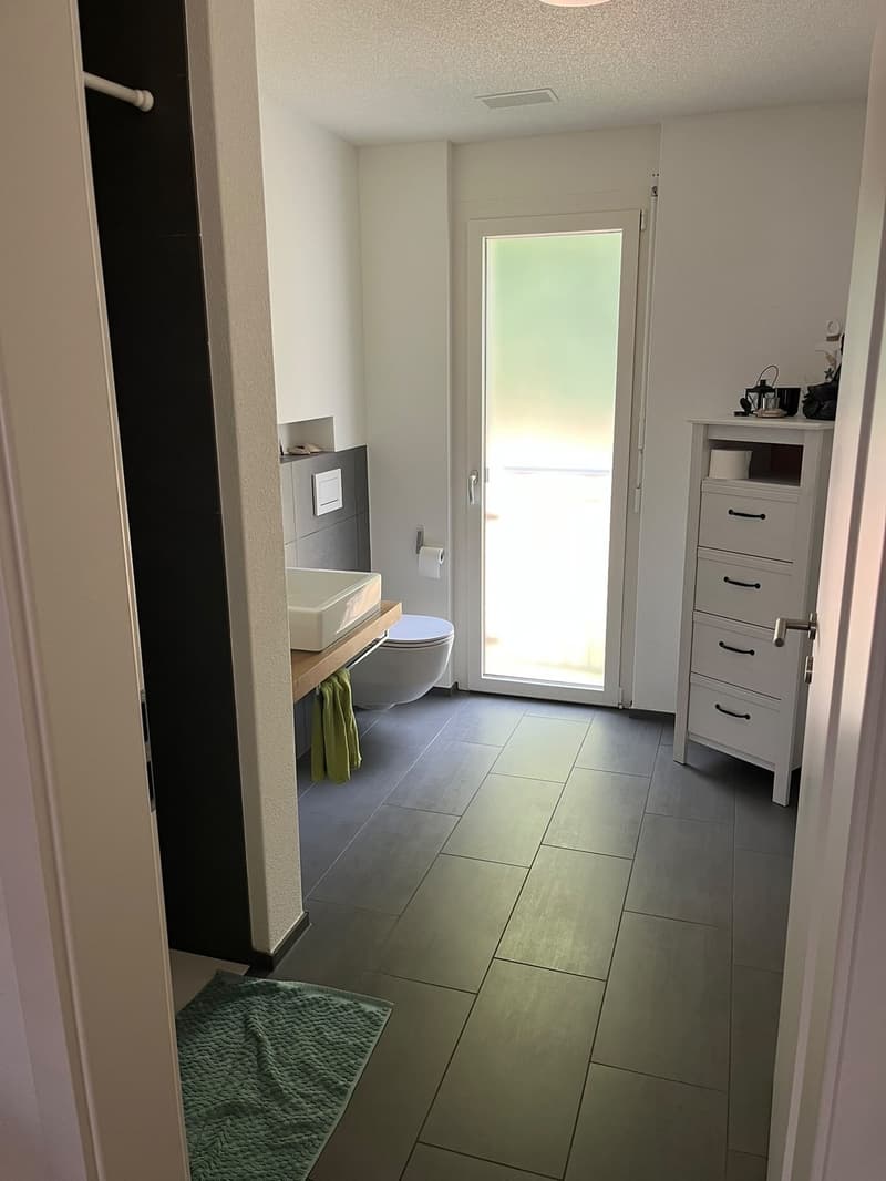 helle grosszügige Wohnung im Schöngrund (2)