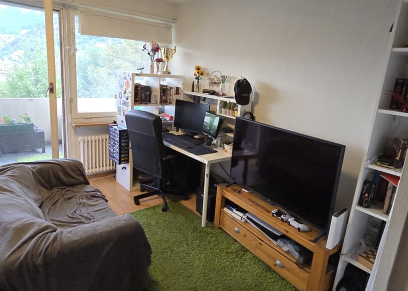 Gemütliche 1-Zimmerwohnung mit Traum-Aussicht & grossem Balkon in Chur (1)