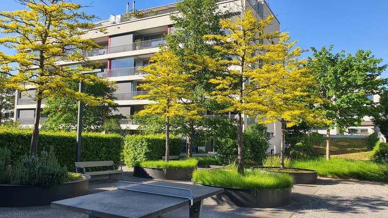 Rent a room in a shared flat in Glattpark (5)