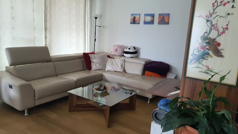 Rent a room in a shared flat in Glattpark (7)