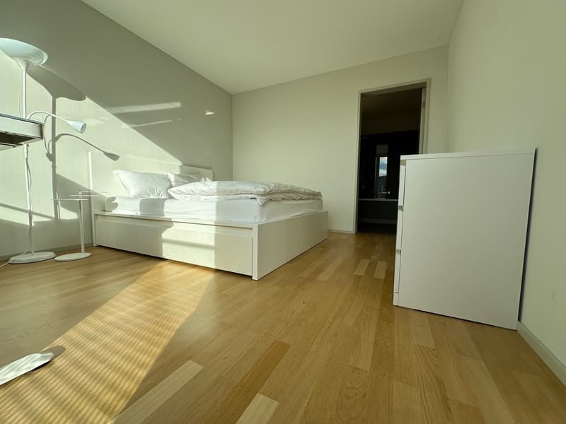 Neu in der Stadt, grad auf Wohnungssuche oder für eine begrenzte Zeit in Zürich? (2)