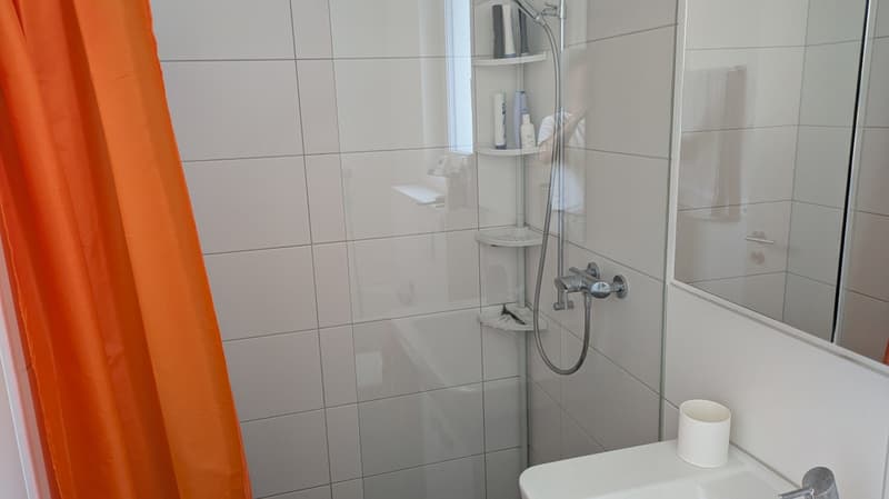 Nachmieter per 1.10.2026 gesucht: 3.5 Zimmer Wohnung in Wald ZH (4)