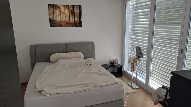 Nachmieter per 1.10.2026 gesucht: 3.5 Zimmer Wohnung in Wald ZH (6)