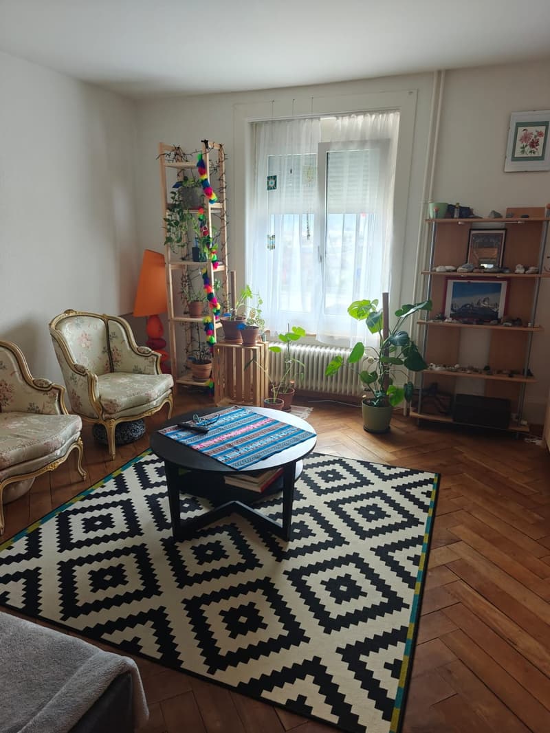 Sehr zentral gelegene Wohnung (1)