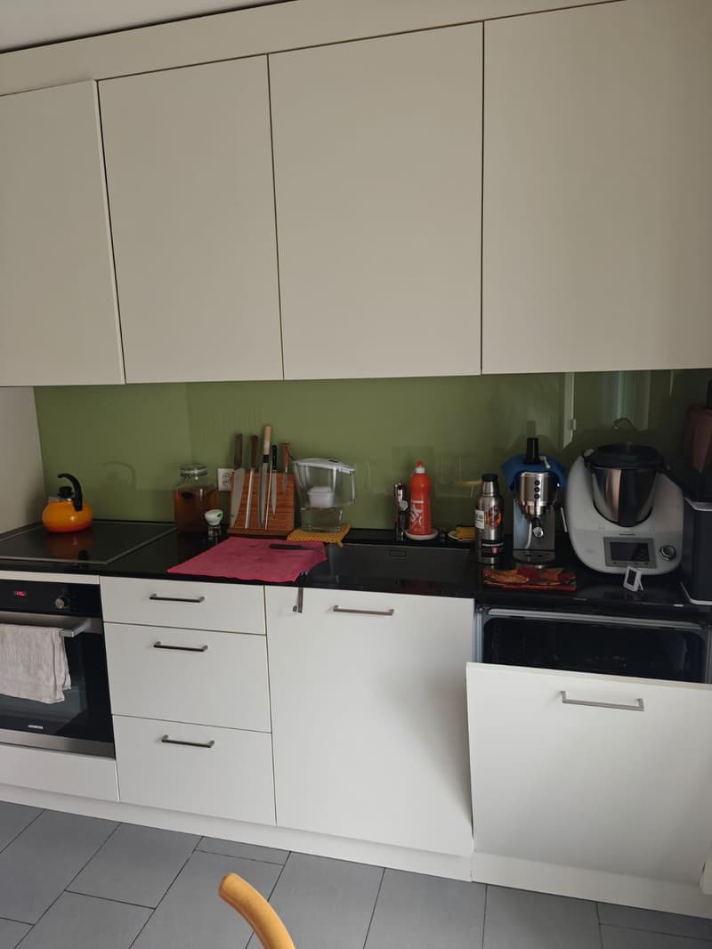 Sehr zentral gelegene Wohnung (4)