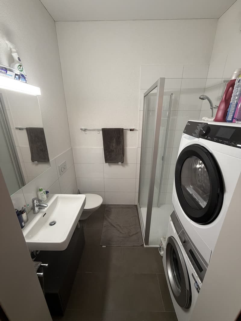 Untermiete / Sublet 1.5 Zi. möbliert, 26.08.2026 31.01.2027, 1 Person (4)