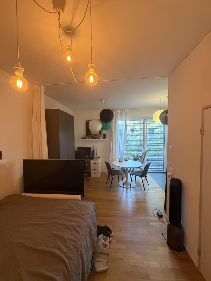 Untermiete / Sublet 1.5 Zi. möbliert, 26.08.2026 31.01.2027, 1 Person (3)