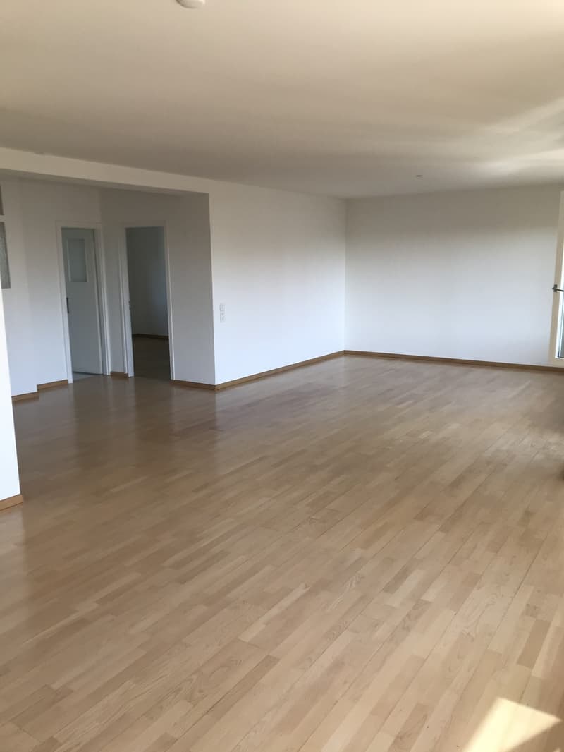 Helle, loftige 2.5Zi Wohnung im Seefeld mit Aussicht und Balkonen (2)