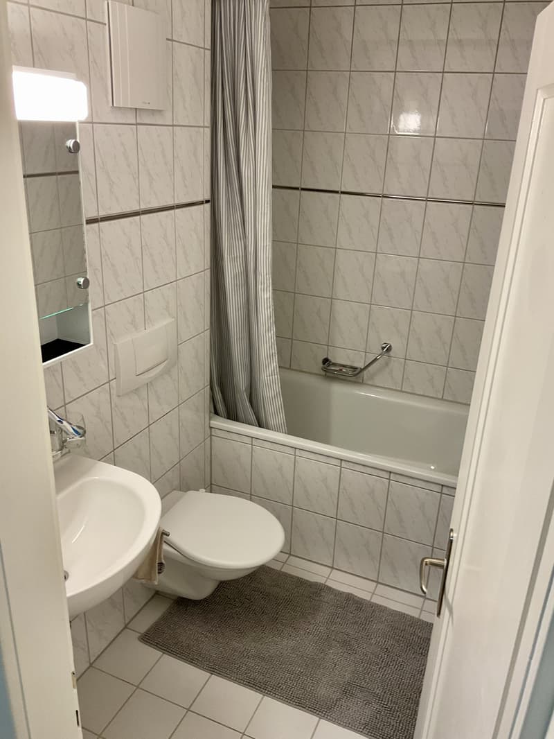 Mitbewohner/in (3)