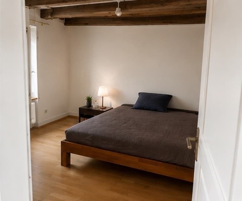 Historische Altstadtwohnung | Historic Apartment in Zurich's Old Town (1)