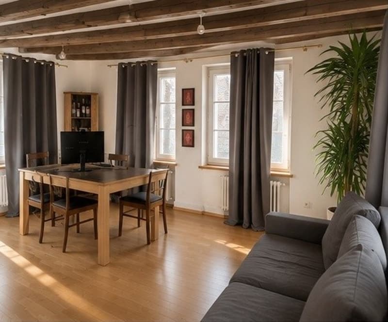 Historische Altstadtwohnung | Historic Apartment in Zurich's Old Town (2)