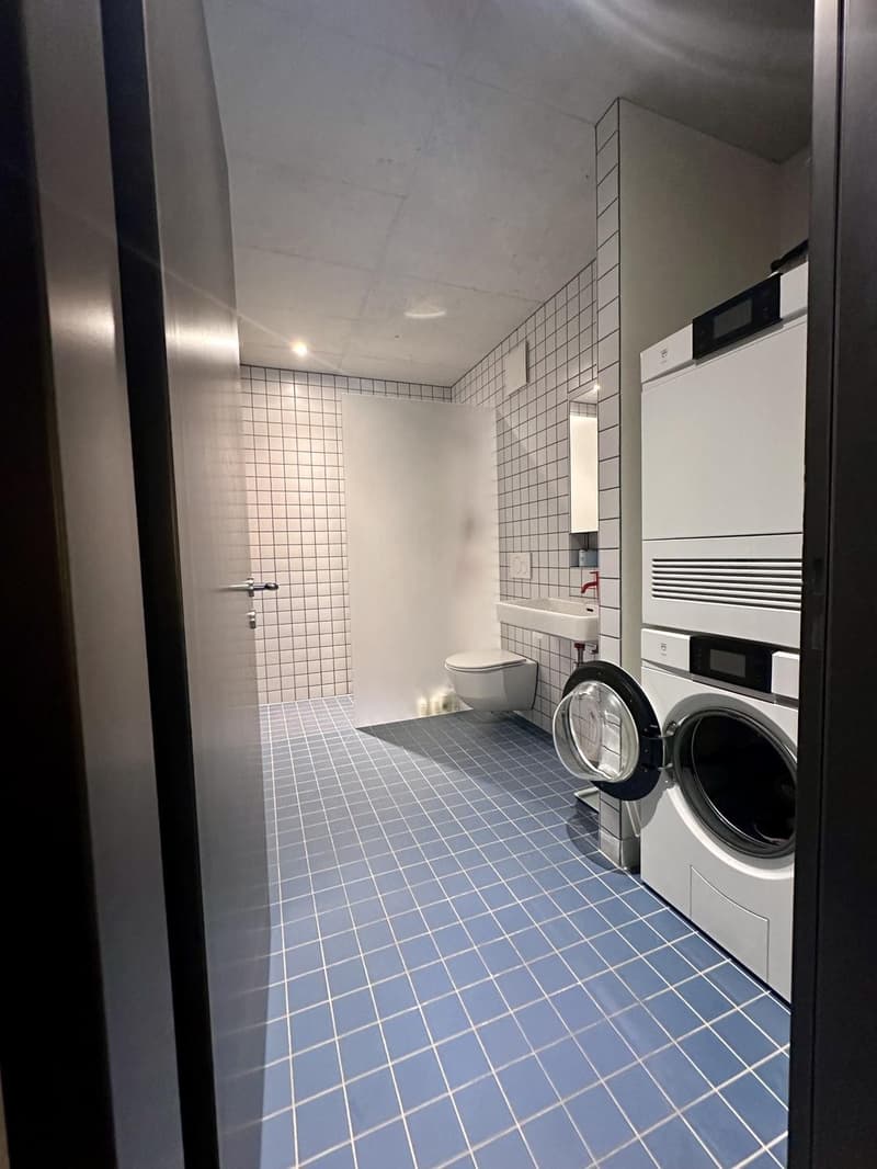 Modern 2.5-Room Apartment with Balcony and Open Views Zürich (Seebach area) (7)