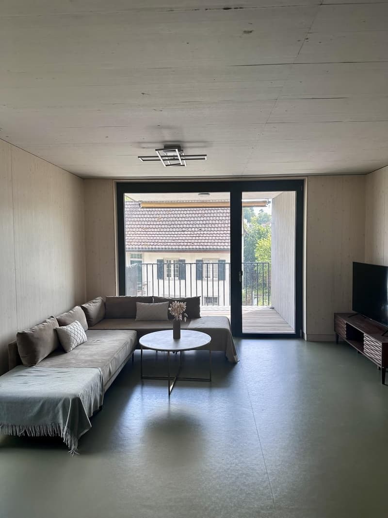 Modern 2.5-Room Apartment with Balcony and Open Views Zürich (Seebach area) (3)