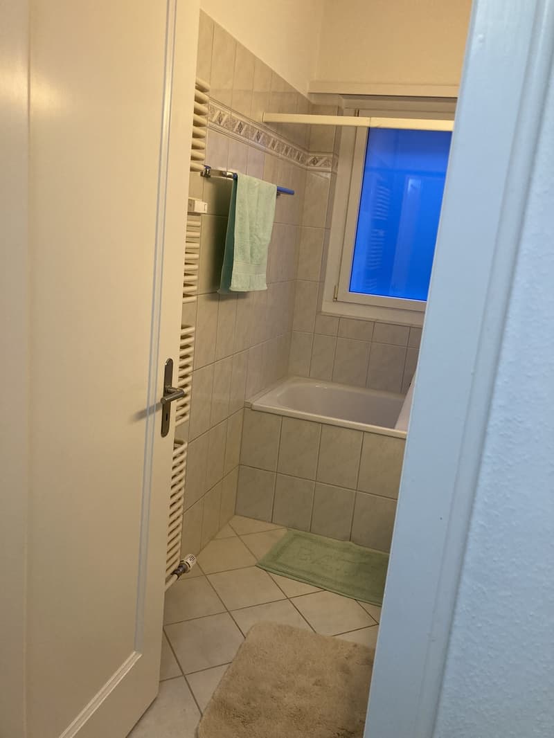 Nachmieter für zentral liegende Wohnung gesucht (3)