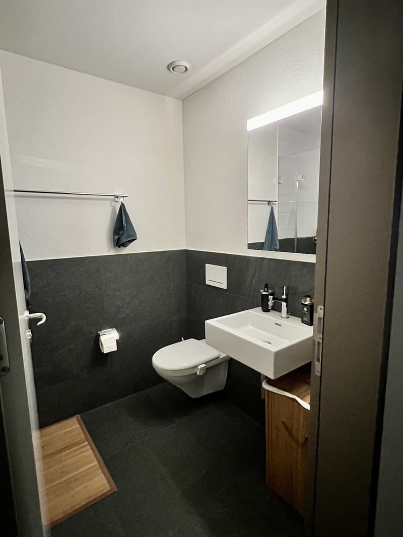 Moeblierte Wohnung als WG-Zimmer CHF 1550 (3)