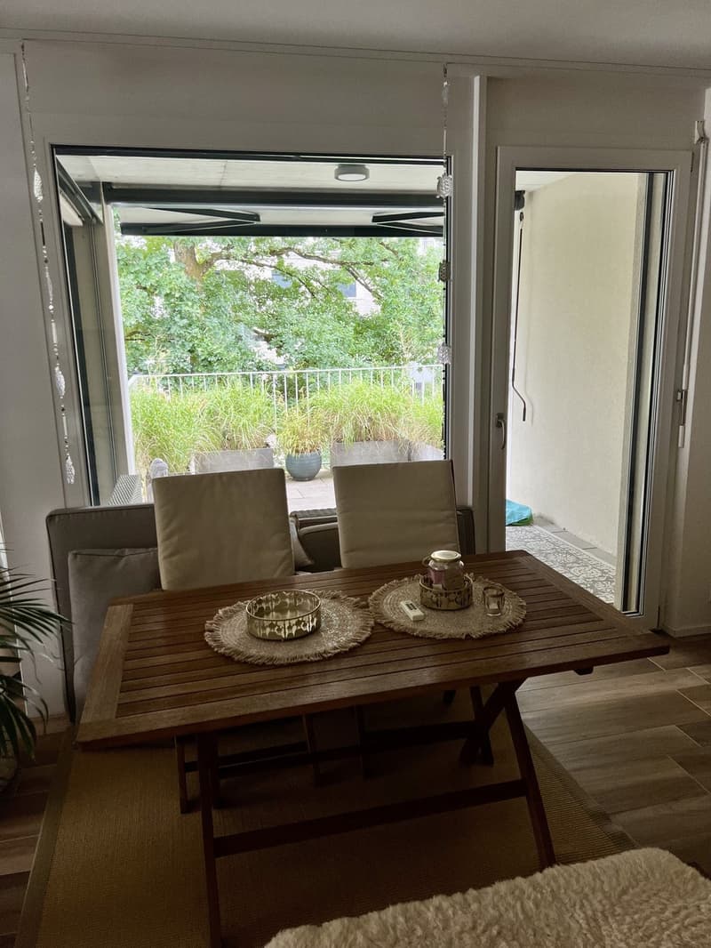 Moeblierte Wohnung als WG-Zimmer CHF 1550 (5)