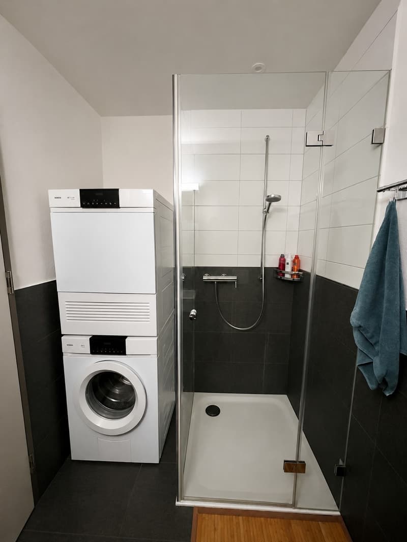 Moeblierte Wohnung als WG-Zimmer CHF 1550 (4)