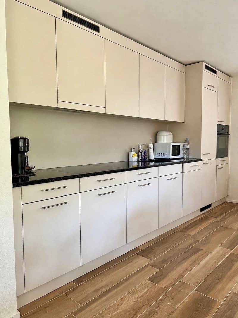 Moeblierte Wohnung als WG-Zimmer CHF 1550 (10)
