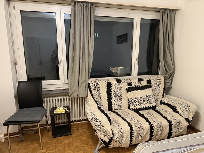 Well-located 1.5 room flat near Oerlikon (2)