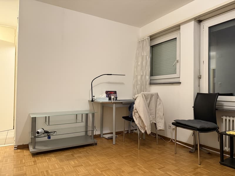 Well-located 1.5 room flat near Oerlikon (3)