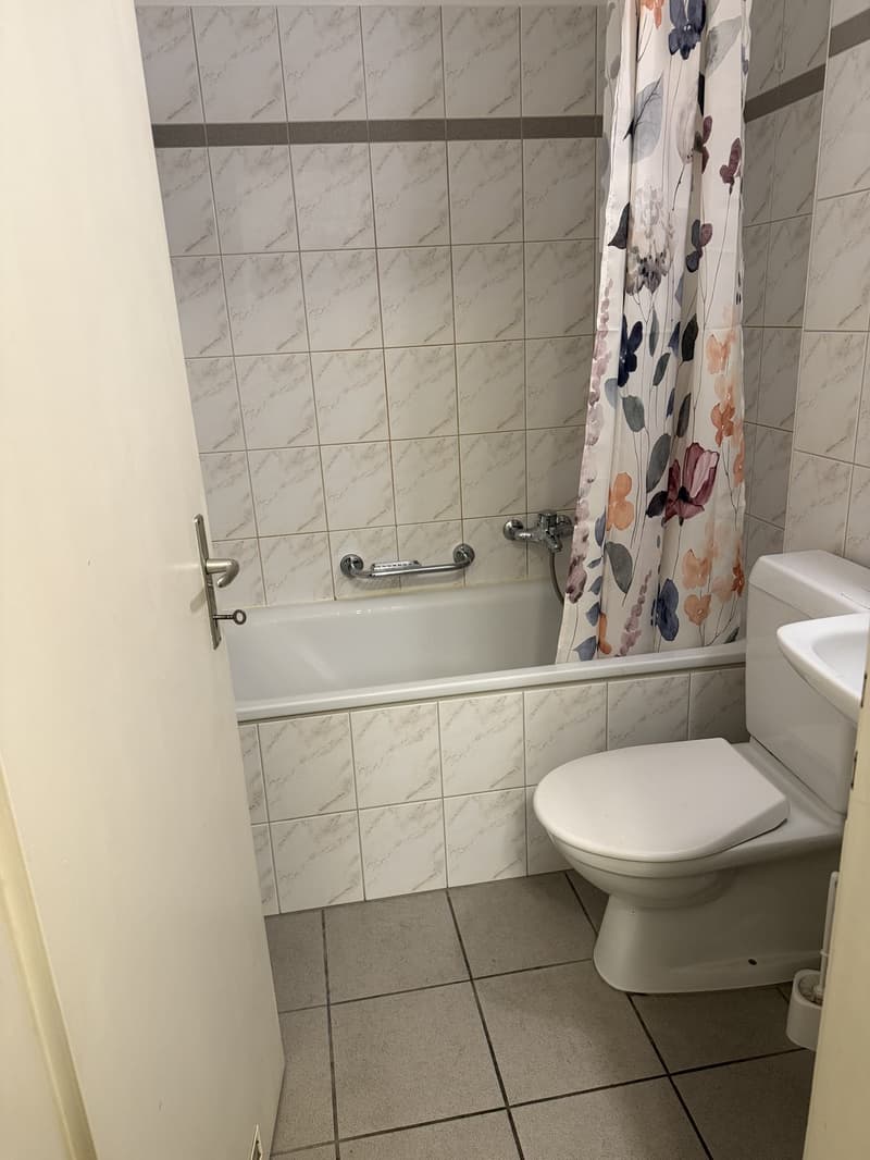 Well-located 1.5 room flat near Oerlikon (5)