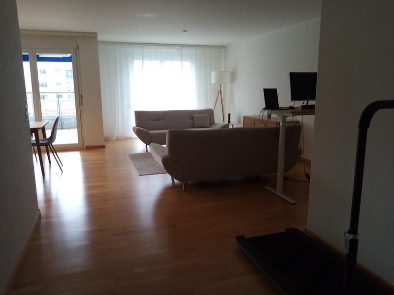 Modernes Wohnen in der Nähe des Zürichsees - Pfäffikon SZ (7)