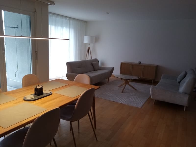 Modernes Wohnen in der Nähe des Zürichsees - Pfäffikon SZ (8)