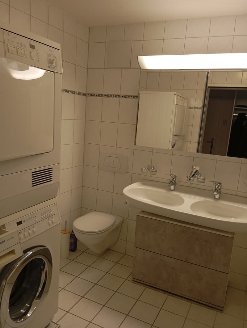 Modernes Wohnen in der Nähe des Zürichsees - Pfäffikon SZ (6)