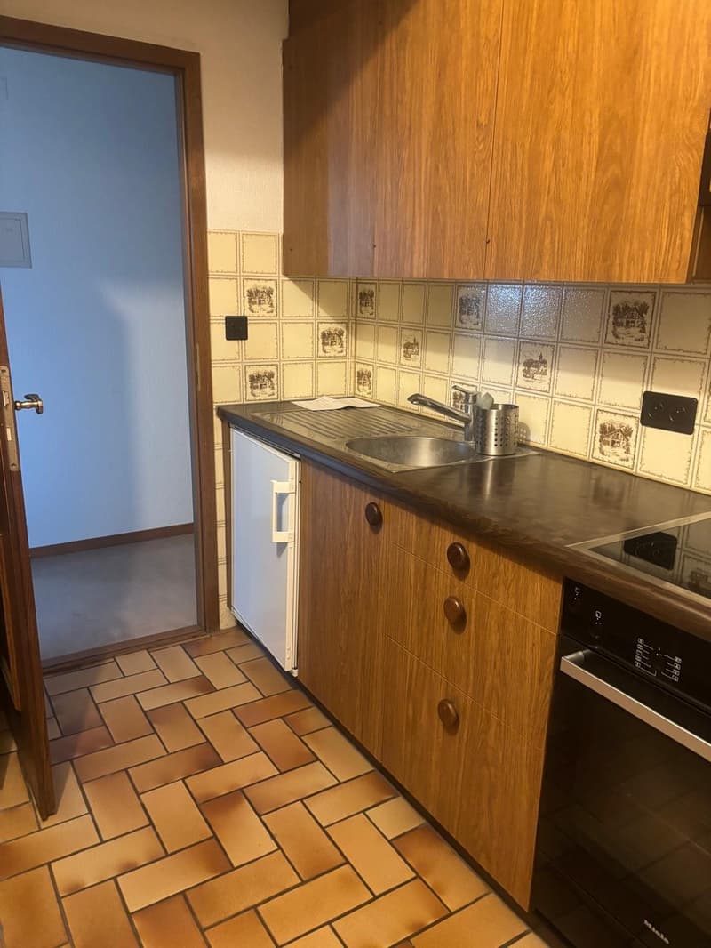 Einzigartige 2.5-Zimmer-Dachwohnung (6)
