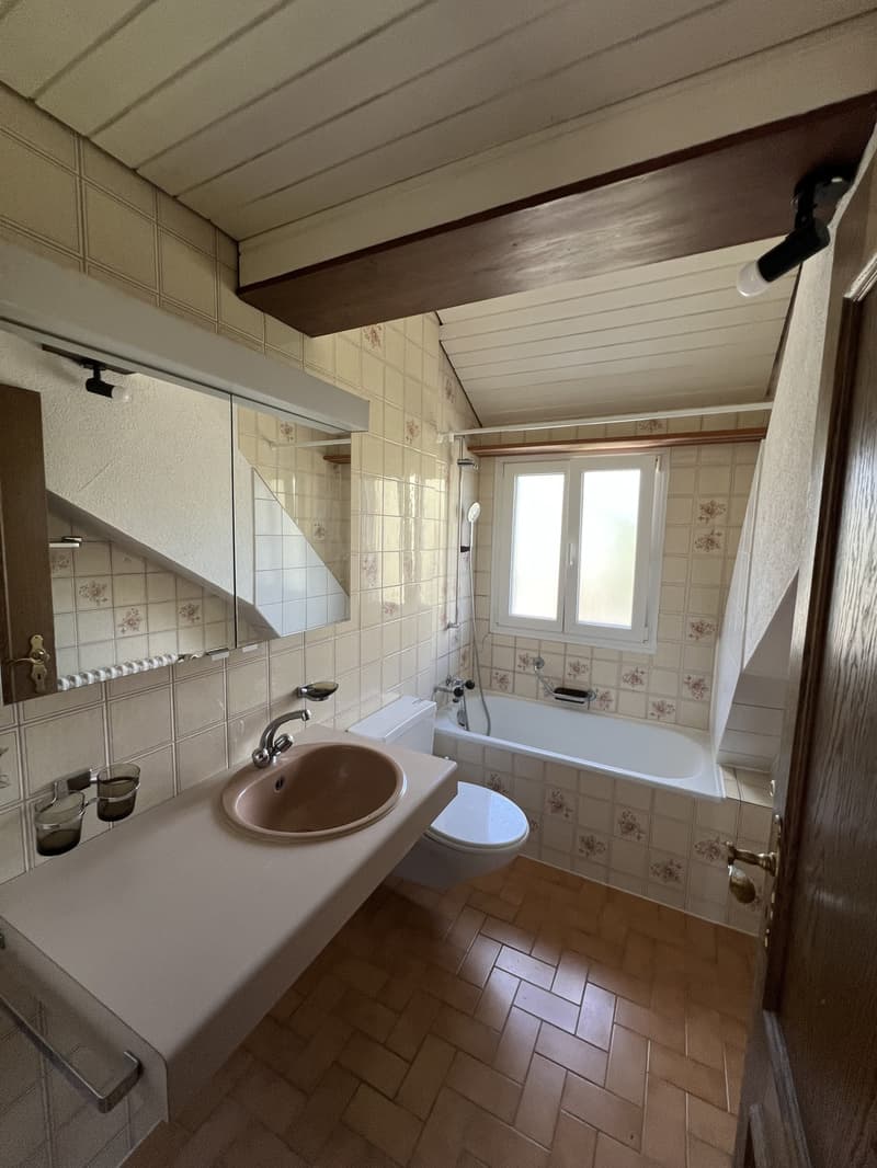 Einzigartige 2.5-Zimmer-Dachwohnung (5)