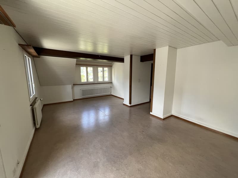 Einzigartige 2.5-Zimmer-Dachwohnung (3)