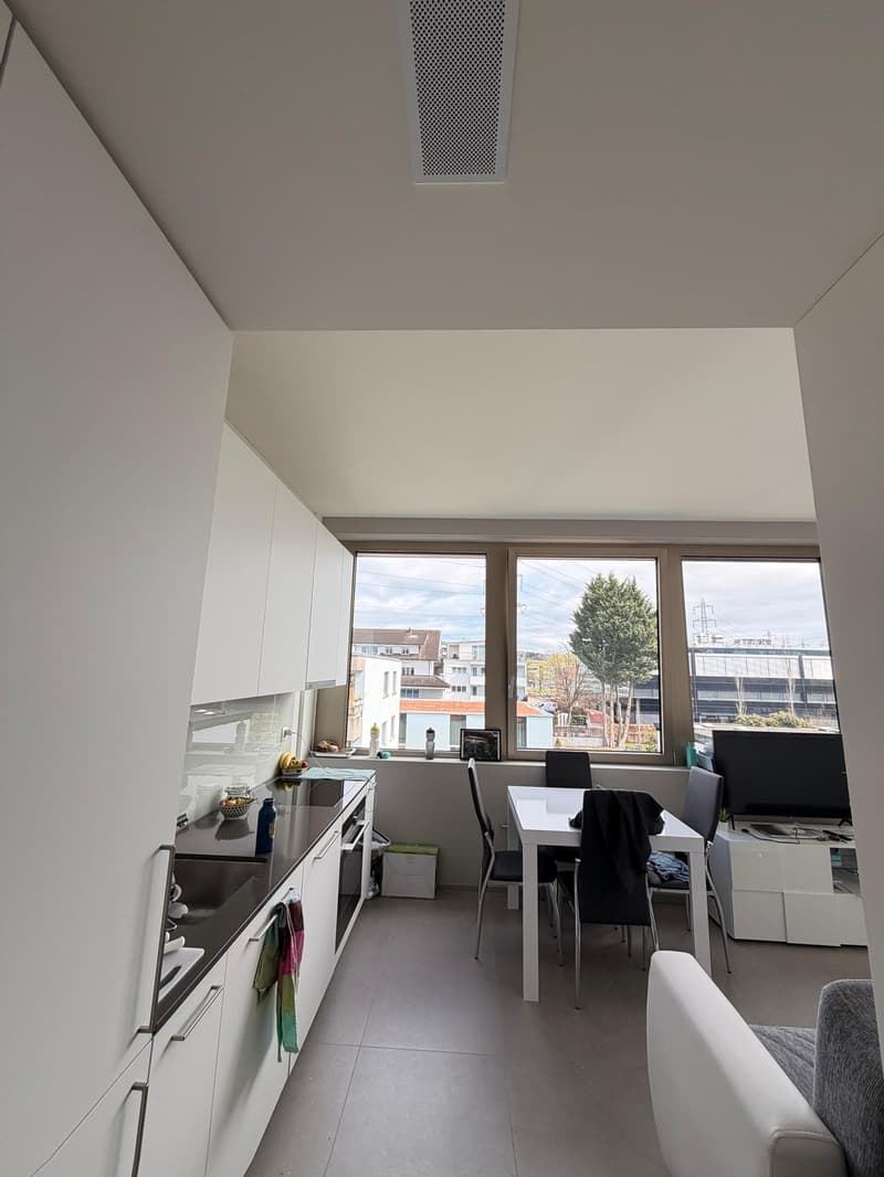Modernes, Helles 1.5-Zimmer-Appartement in Steinhausen (2)