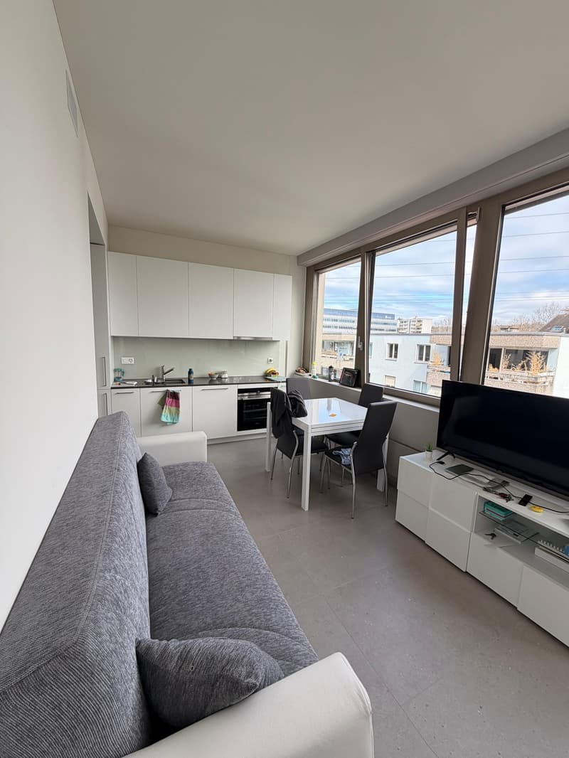 Modernes, Helles 1.5-Zimmer-Appartement in Steinhausen (3)