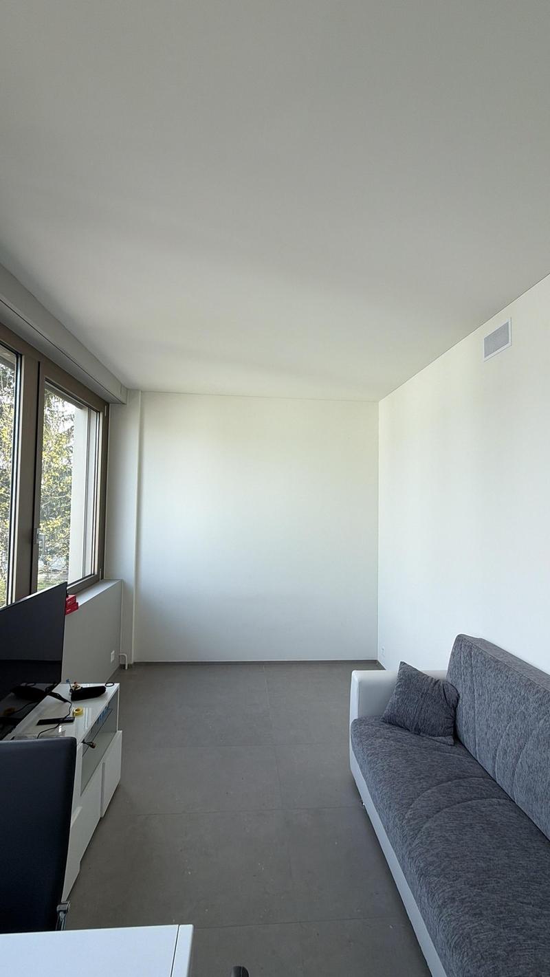 Modernes, Helles 1.5-Zimmer-Appartement in Steinhausen (1)