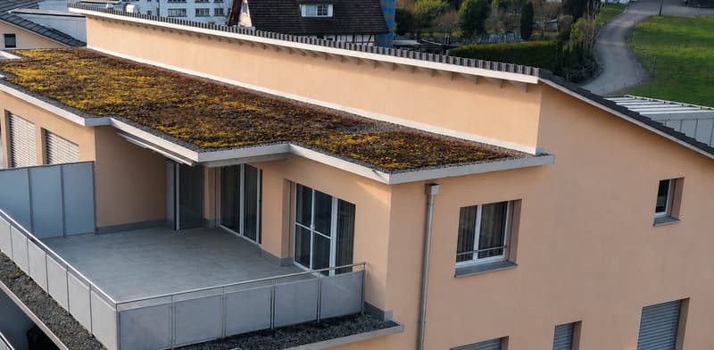 Charmante Attikawohnung im Zürcher Oberland (4)